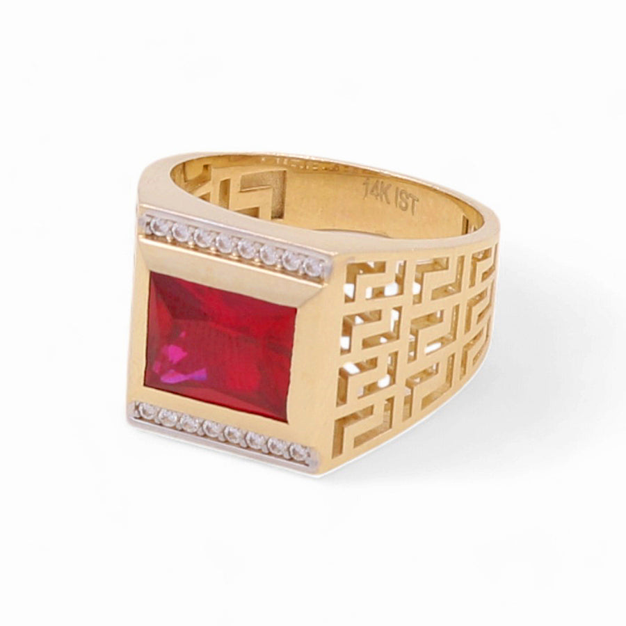 14K Yellow Gold Men's  Red Square Fashion Ring