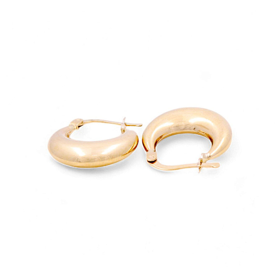 14K Yellow Fashion Hoops Earrings