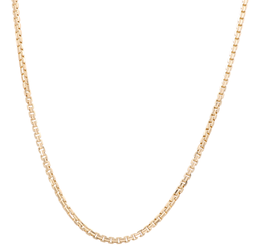 Close-up of an elegant Miral Jewelry 14k Yellow Gold Round Box Chain on a white background.